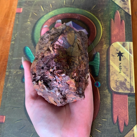 Beautiful piece of Petrified Redwood tree mineral stone display specimen - Picture 11 of 11